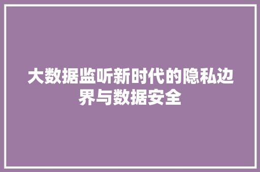 大数据监听新时代的隐私边界与数据安全