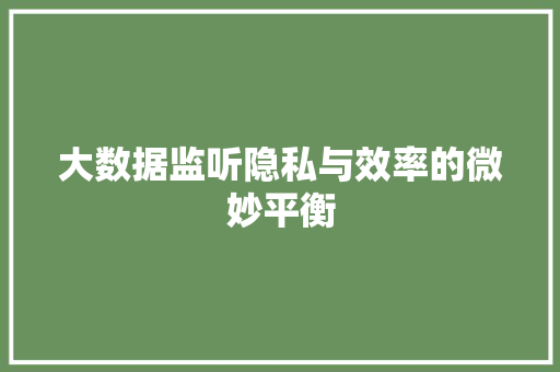 大数据监听隐私与效率的微妙平衡
