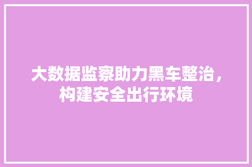 大数据监察助力黑车整治，构建安全出行环境