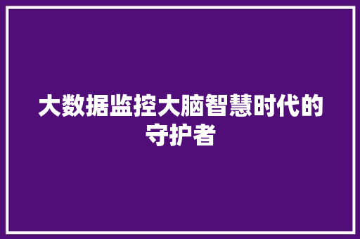 大数据监控大脑智慧时代的守护者