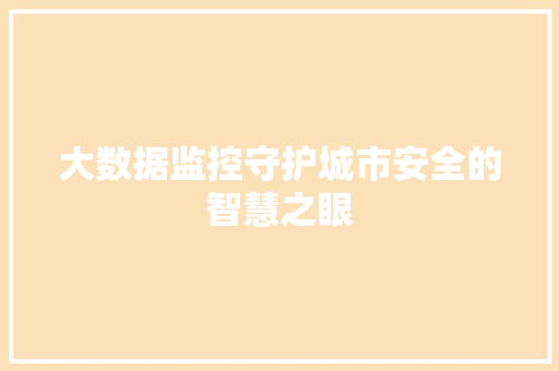 大数据监控守护城市安全的智慧之眼