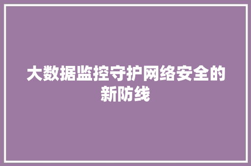 大数据监控守护网络安全的新防线 编程语言