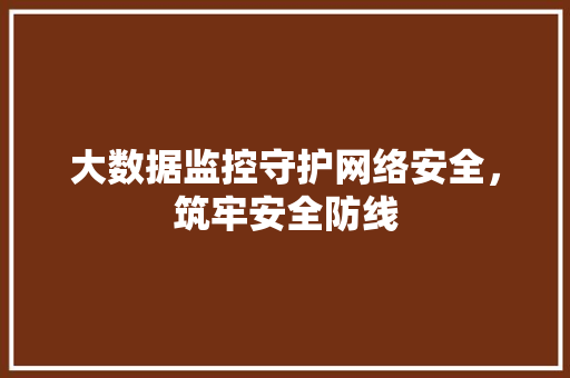 大数据监控守护网络安全，筑牢安全防线 网络技术