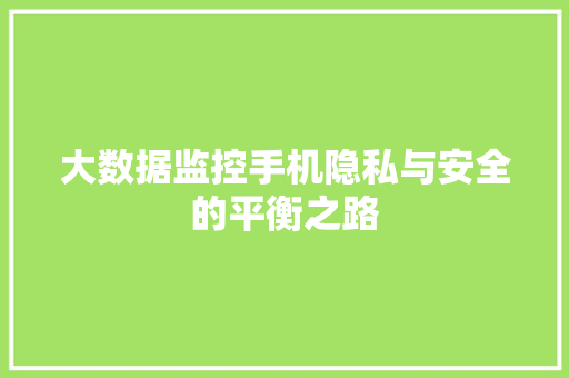 大数据监控手机隐私与安全的平衡之路 大数据监控手机隐私与安全的平衡之路