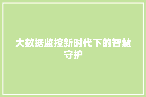 大数据监控新时代下的智慧守护