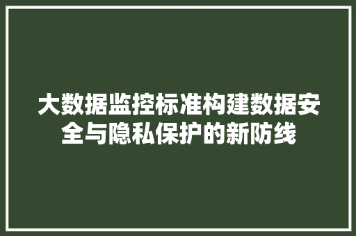 大数据监控标准构建数据安全与隐私保护的新防线 大数据监控标准构建数据安全与隐私保护的新防线