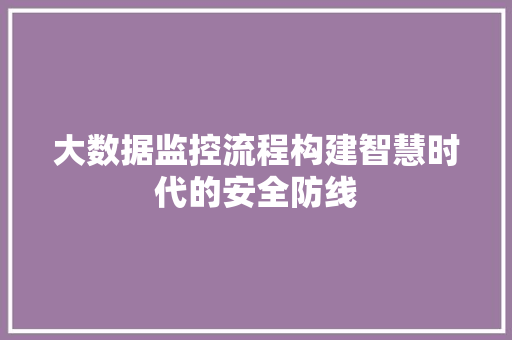 大数据监控流程构建智慧时代的安全防线 大数据监控流程构建智慧时代的安全防线
