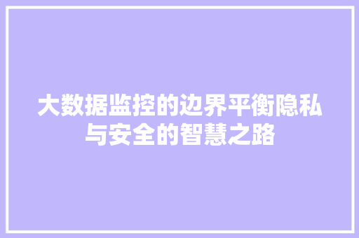大数据监控的边界平衡隐私与安全的智慧之路 大数据监控的边界平衡隐私与安全的智慧之路