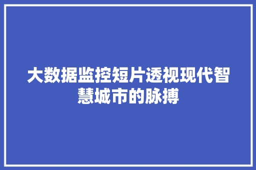 大数据监控短片透视现代智慧城市的脉搏 大数据监控短片透视现代智慧城市的脉搏
