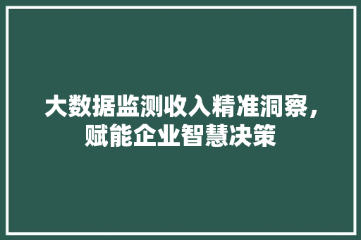 大数据监测收入精准洞察，赋能企业智慧决策 网络技术