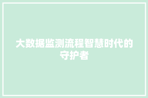 大数据监测流程智慧时代的守护者
