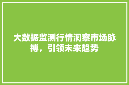 大数据监测行情洞察市场脉搏，引领未来趋势