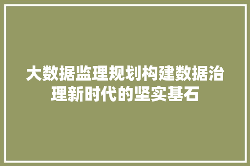 大数据监理规划构建数据治理新时代的坚实基石 大数据监理规划构建数据治理新时代的坚实基石