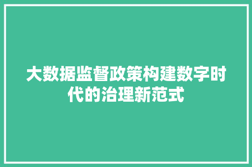 大数据监督政策构建数字时代的治理新范式 大数据监督政策构建数字时代的治理新范式