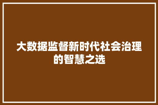 大数据监督新时代社会治理的智慧之选 大数据监督新时代社会治理的智慧之选