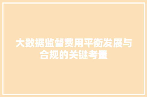 大数据监督费用平衡发展与合规的关键考量 电脑基础