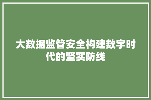 大数据监管安全构建数字时代的坚实防线 电脑配置