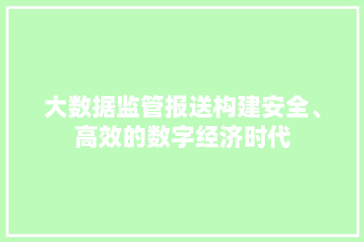 大数据监管报送构建安全、高效的数字经济时代 电脑基础