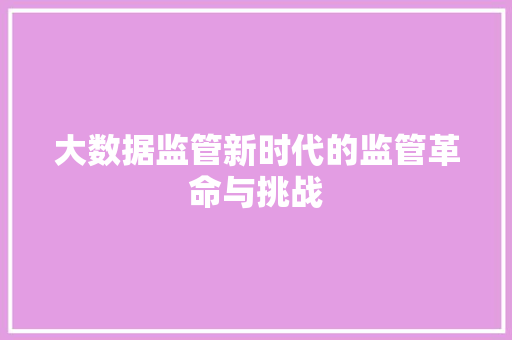 大数据监管新时代的监管革命与挑战 电脑基础 大数据监管新时代的监管革命与挑战 电脑基础