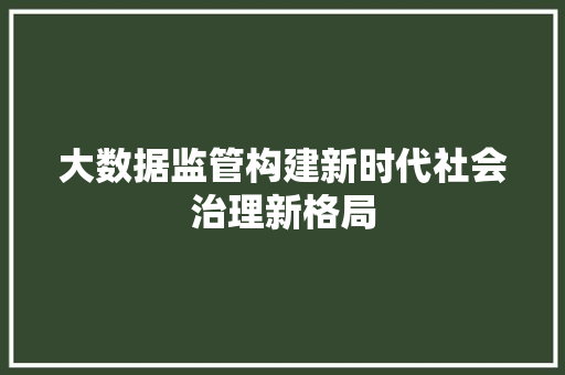 大数据监管构建新时代社会治理新格局