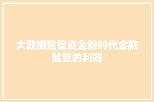 大数据监管资金新时代金融监管的利器