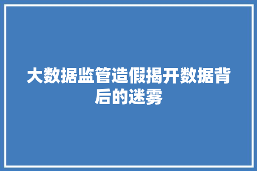 大数据监管造假揭开数据背后的迷雾