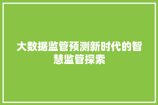 大数据监管预测新时代的智慧监管探索
