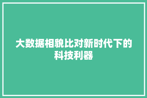 大数据相貌比对新时代下的科技利器