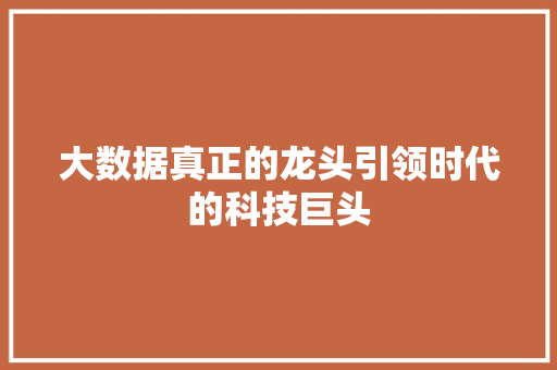 大数据真正的龙头引领时代的科技巨头