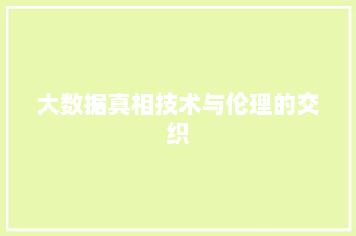 大数据真相技术与伦理的交织