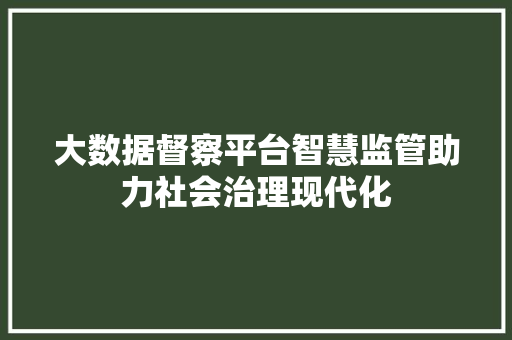 大数据督察平台智慧监管助力社会治理现代化