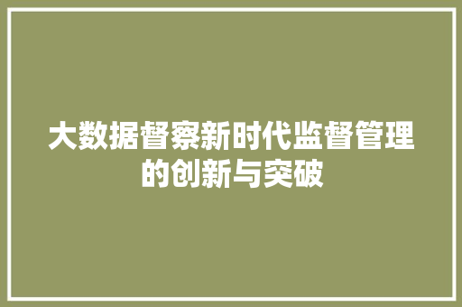 大数据督察新时代监督管理的创新与突破