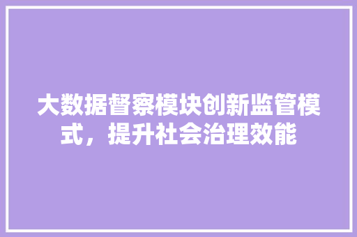 大数据督察模块创新监管模式，提升社会治理效能