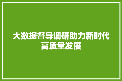 大数据督导调研助力新时代高质量发展