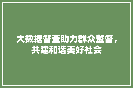 大数据督查助力群众监督，共建和谐美好社会 电脑配置