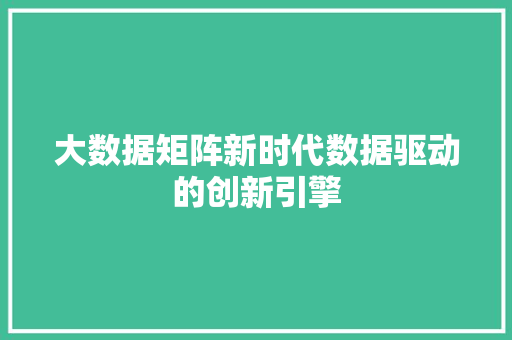 大数据矩阵新时代数据驱动的创新引擎