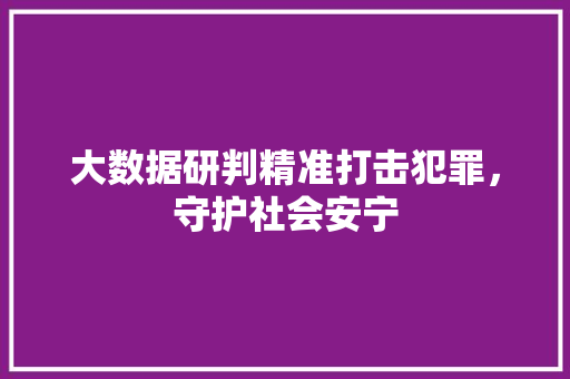 大数据研判精准打击犯罪，守护社会安宁 编程语言