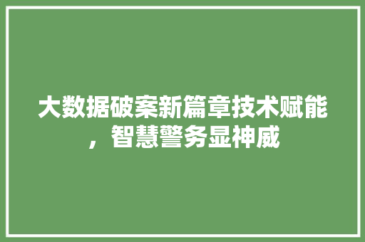 大数据破案新篇章技术赋能，智慧警务显神威 操作系统