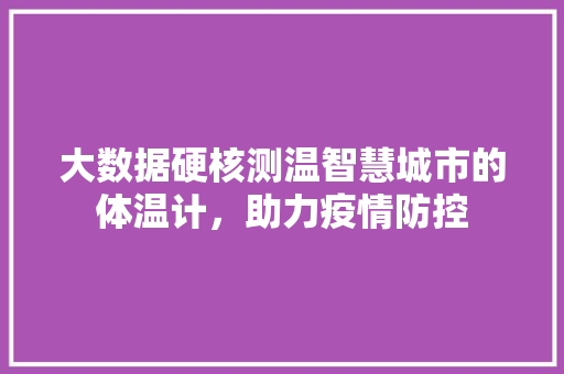 大数据硬核测温智慧城市的体温计，助力疫情防控