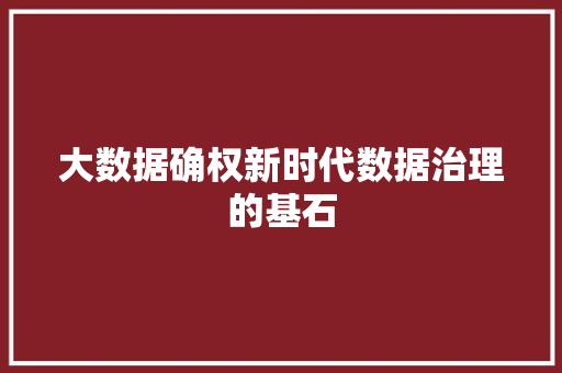 大数据确权新时代数据治理的基石