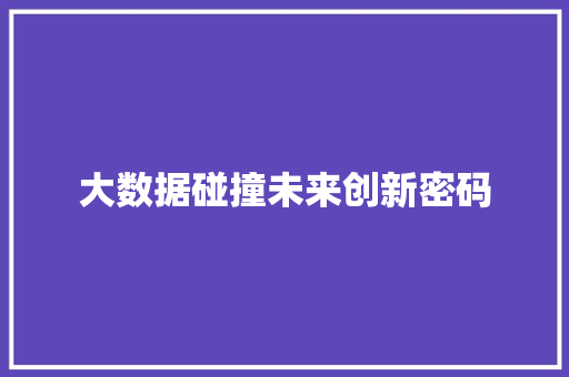 大数据碰撞未来创新密码