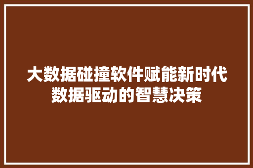 大数据碰撞软件赋能新时代数据驱动的智慧决策