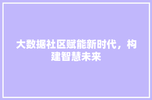大数据社区赋能新时代，构建智慧未来