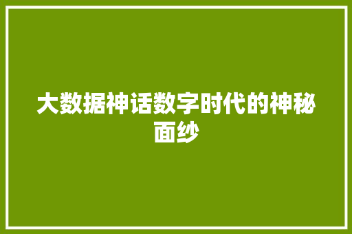 大数据神话数字时代的神秘面纱