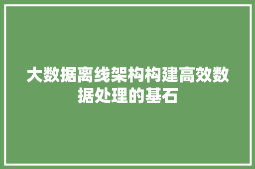 大数据离线架构构建高效数据处理的基石