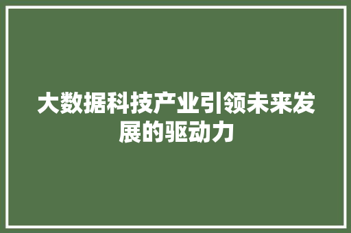 大数据科技产业引领未来发展的驱动力