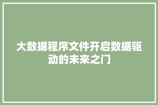 大数据程序文件开启数据驱动的未来之门