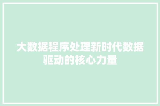 大数据程序处理新时代数据驱动的核心力量