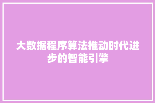 大数据程序算法推动时代进步的智能引擎
