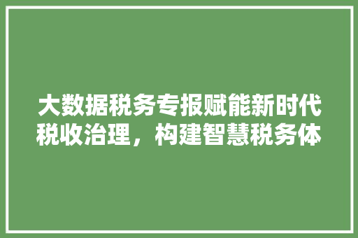 大数据税务专报赋能新时代税收治理，构建智慧税务体系